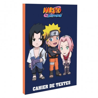 cahier de texte ce1 ce2
